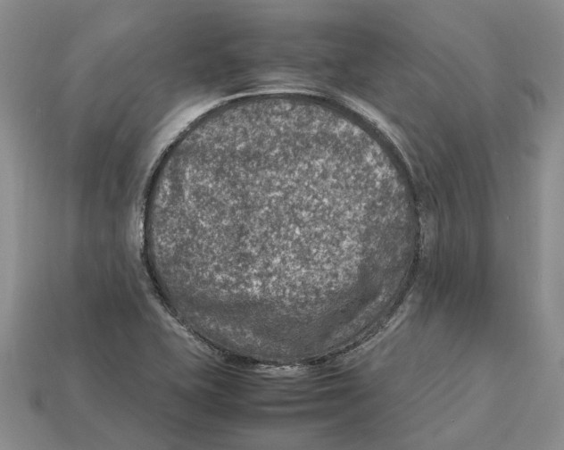 X0000112951415200909211145