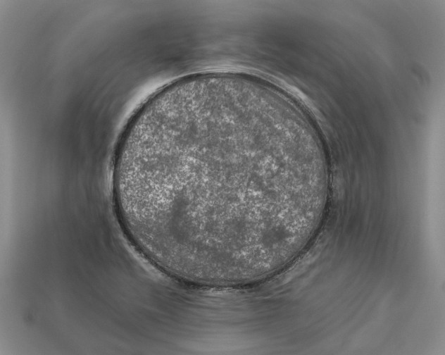 X0000112951416200909211145