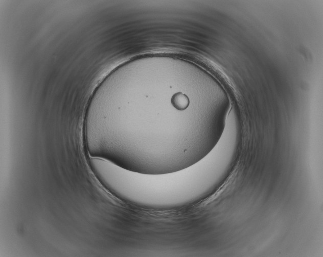 X0000112951417200909211145