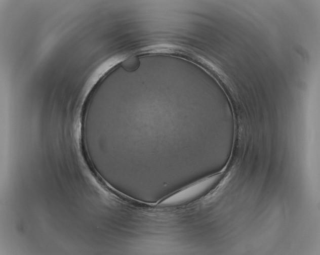 X0000112951418200909211145