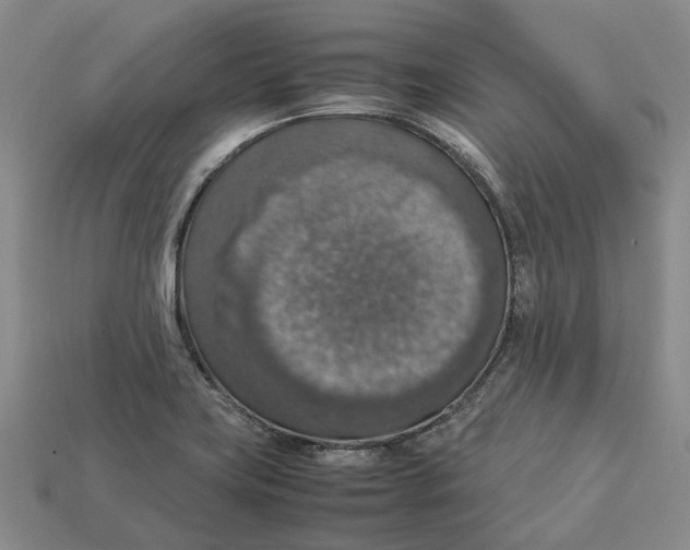 X0000112951419200909211145