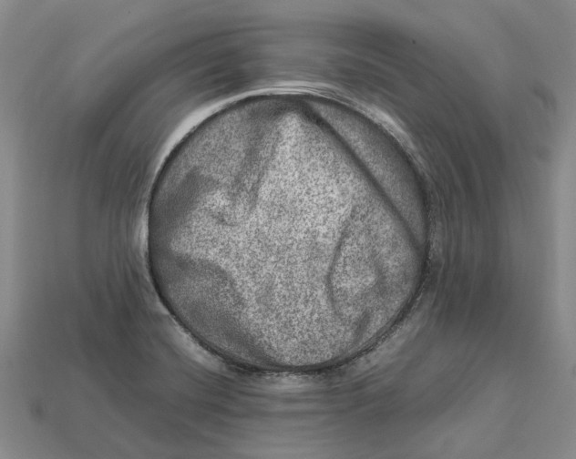 X0000112951420200909211145