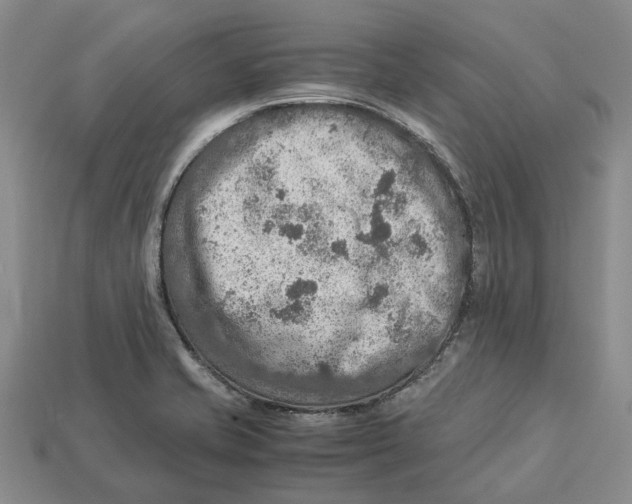 X0000112951421200909211145