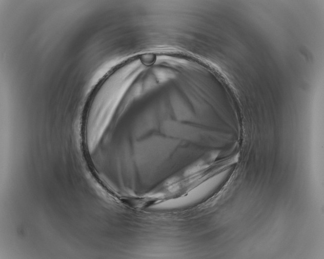 X0000112951422200909211145