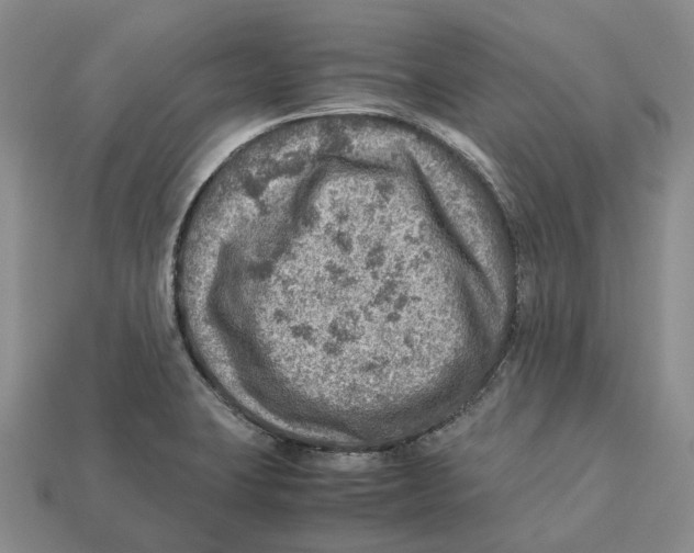 X0000112951423200909211145