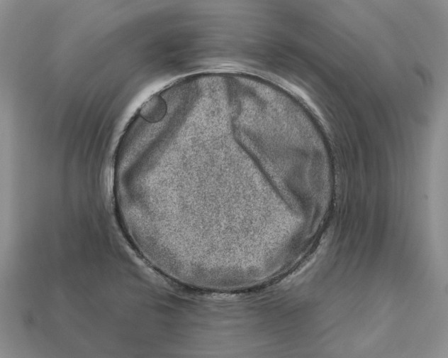 X0000112951424200909211145