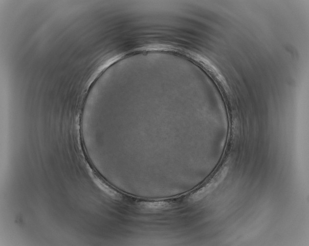 X0000112951425200909211145