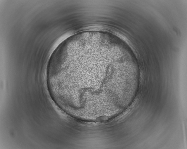 X0000112951426200909211145