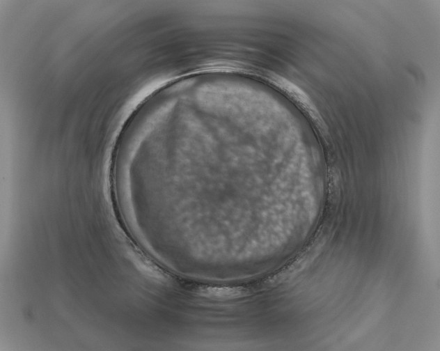 X0000112951427200909211145