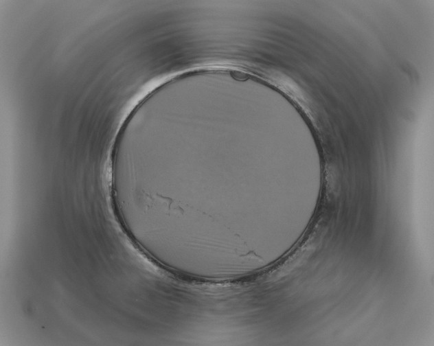 X0000112951428200909211145