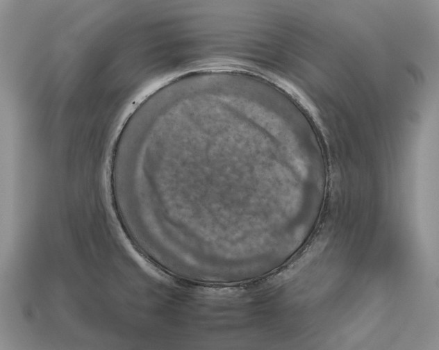 X0000112951429200909211145