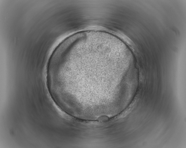 X0000112951430200909211145