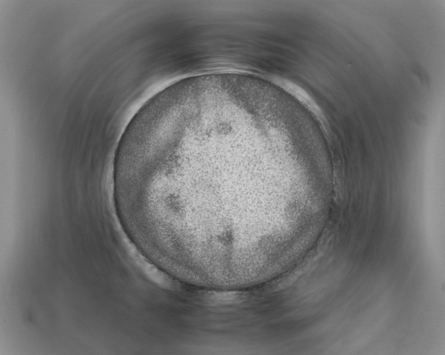 X0000112951431200909211145