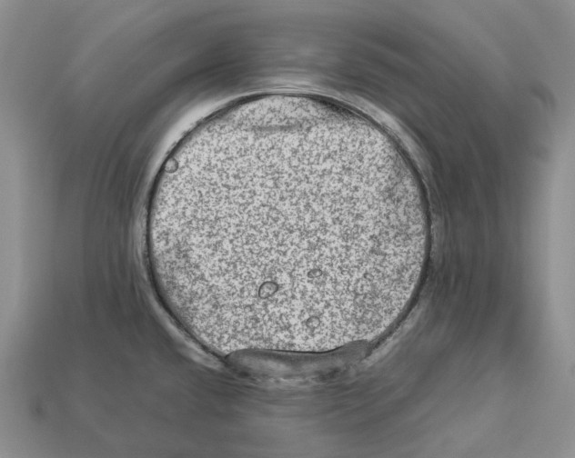 X0000112951432200909211145