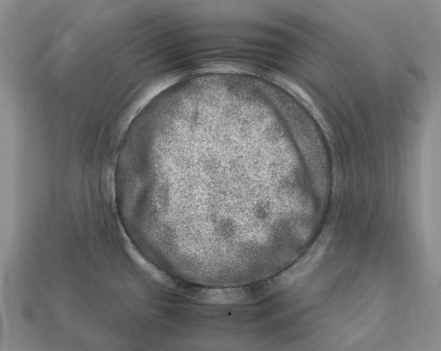 X0000112951433200909211145