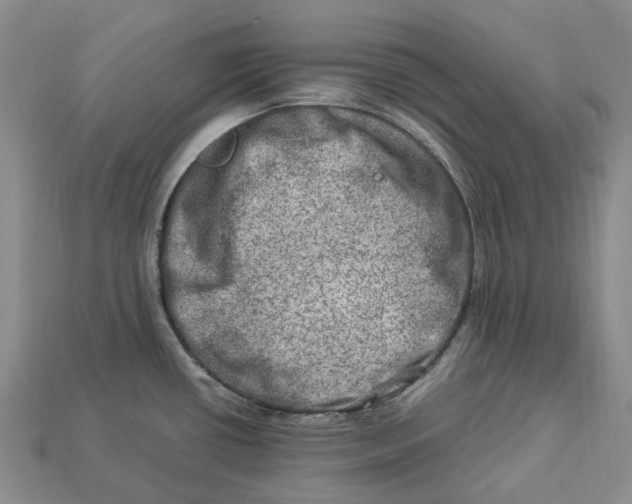 X0000112951434200909211145