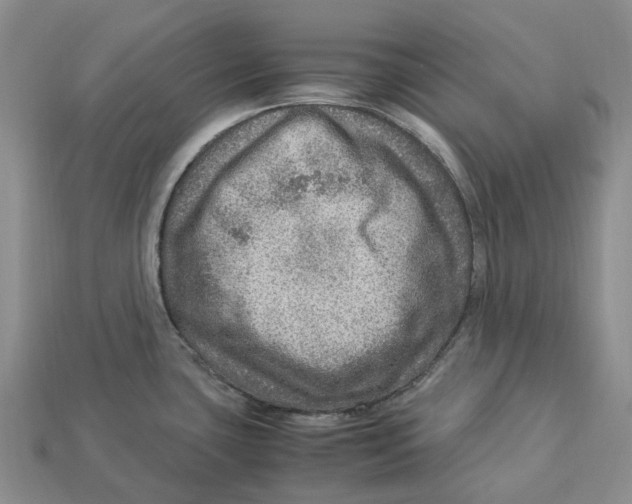 X0000112951435200909211145