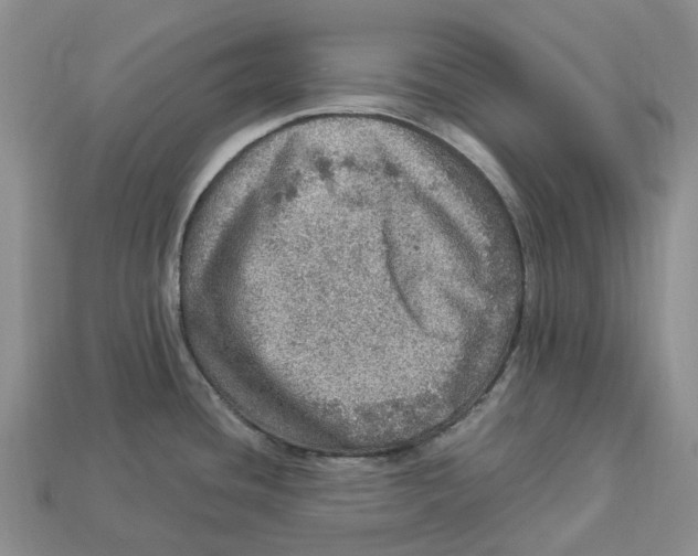 X0000112951436200909211145