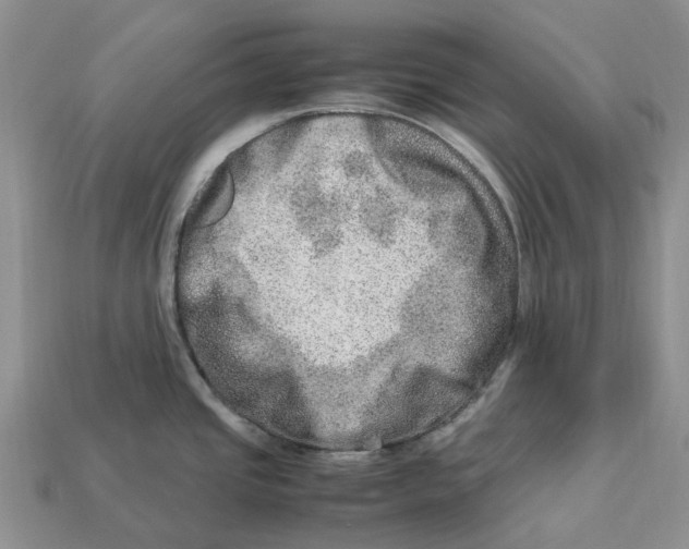 X0000112951437200909211145