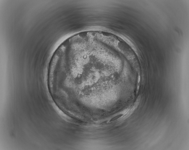 X0000112951438200909211145