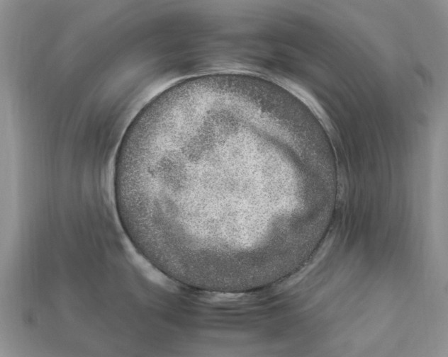 X0000112951439200909211145