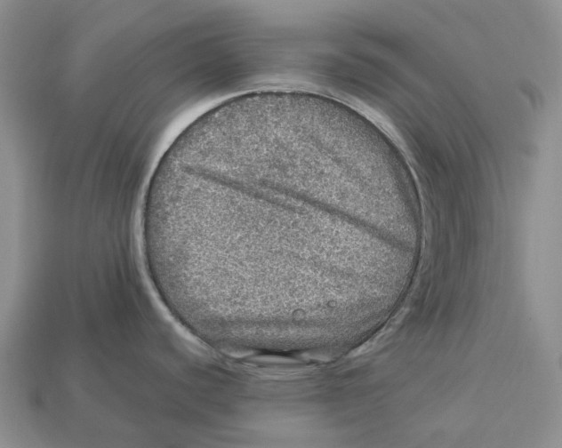 X0000112951440200909211145