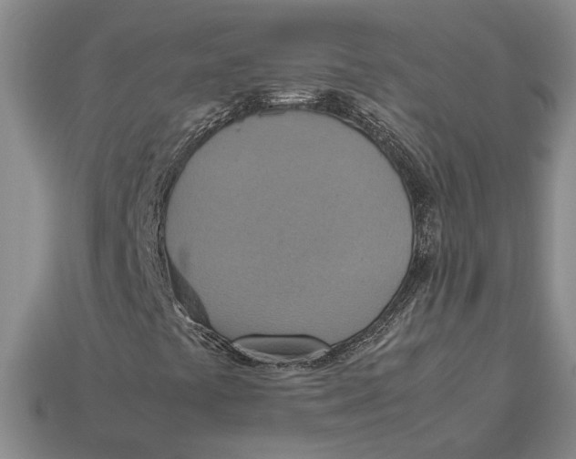 X0000112951441200909211144