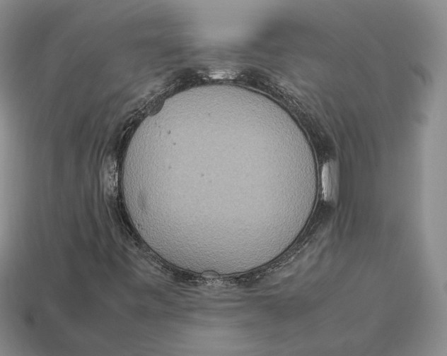 X0000112951443200909211144