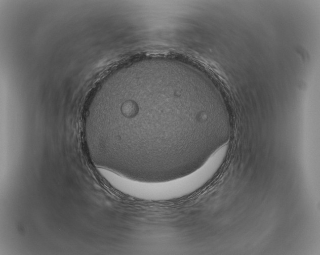 X0000112951445200909211144