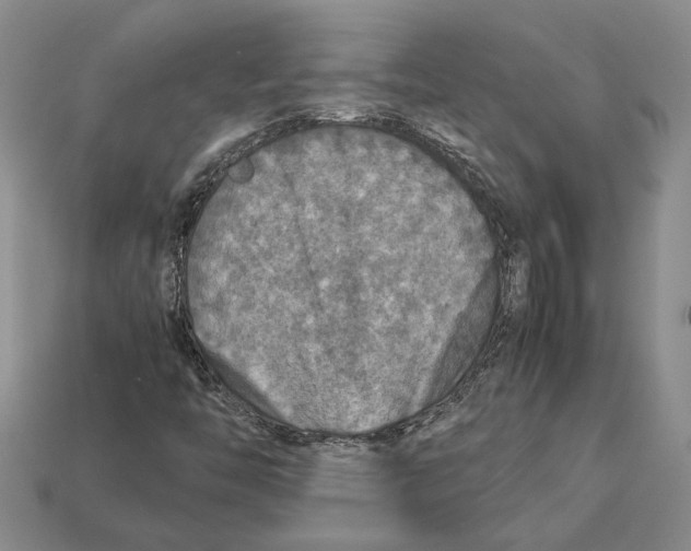 X0000112951446200909211144