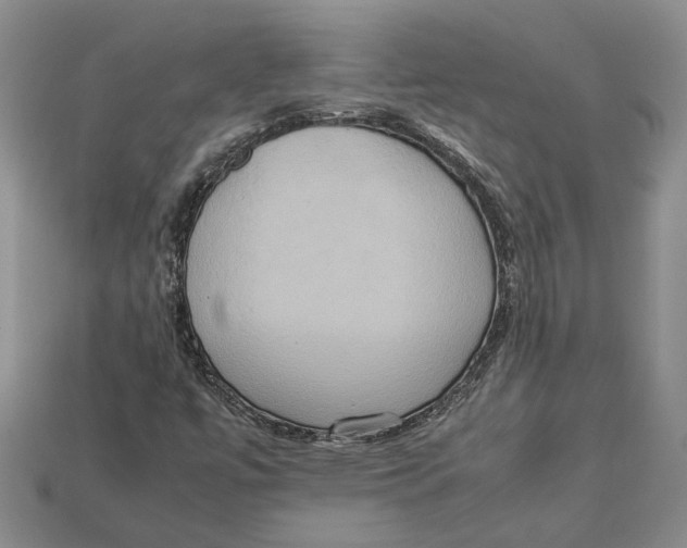 X0000112951447200909211144