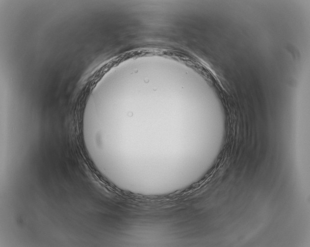 X0000112951448200909211144