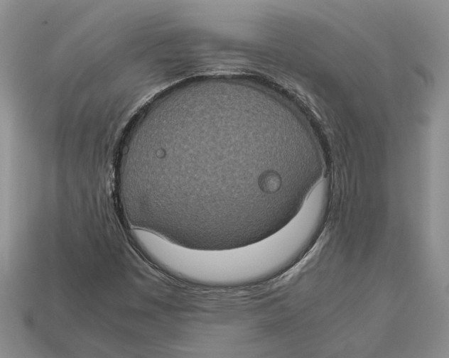 X0000112951449200909211144