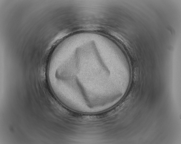 X0000112951451200909211144