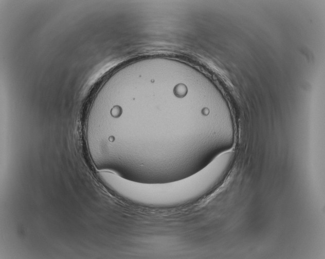 X0000112951453200909211144