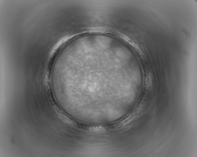 X0000112951454200909211144