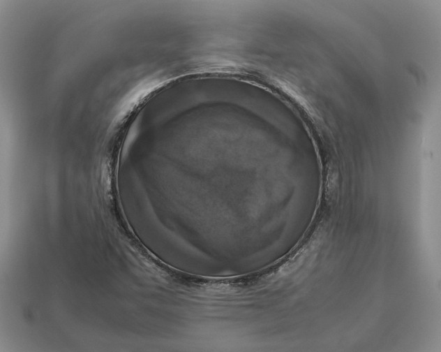 X0000112951455200909211144