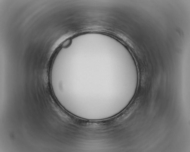 X0000112951458200909211144