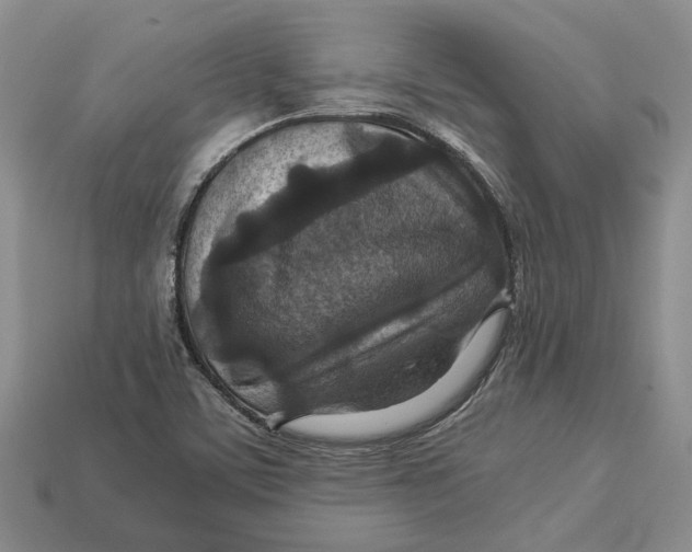 X0000112951459200909211144