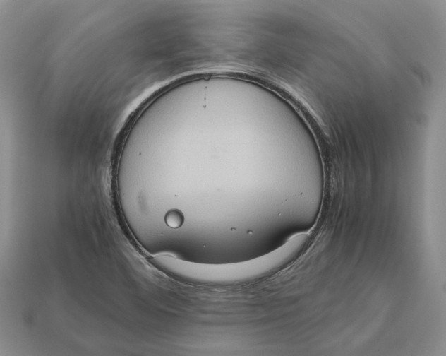 X0000112951460200909211144