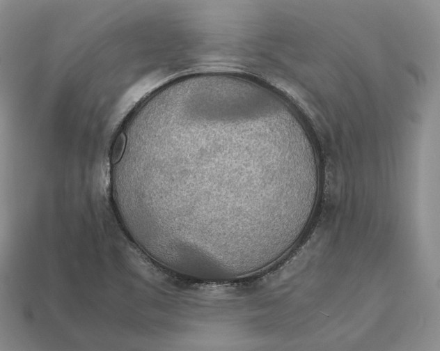 X0000112951461200909211144