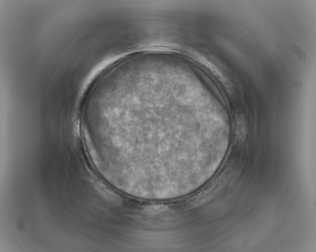 X0000112951462200909211144