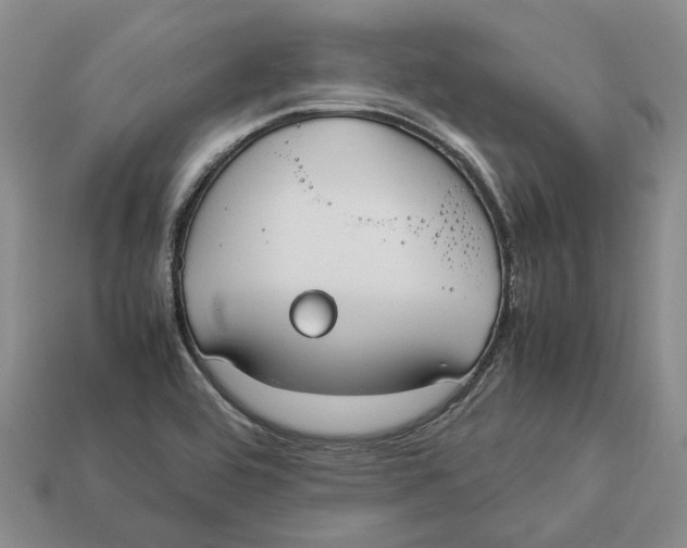 X0000112951464200909211144