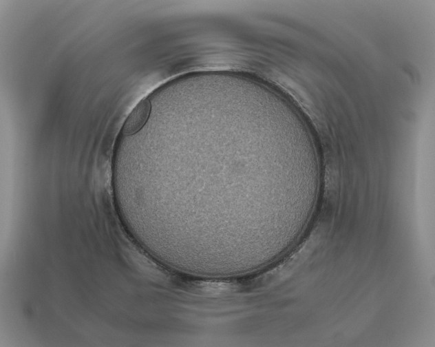 X0000112951465200909211144