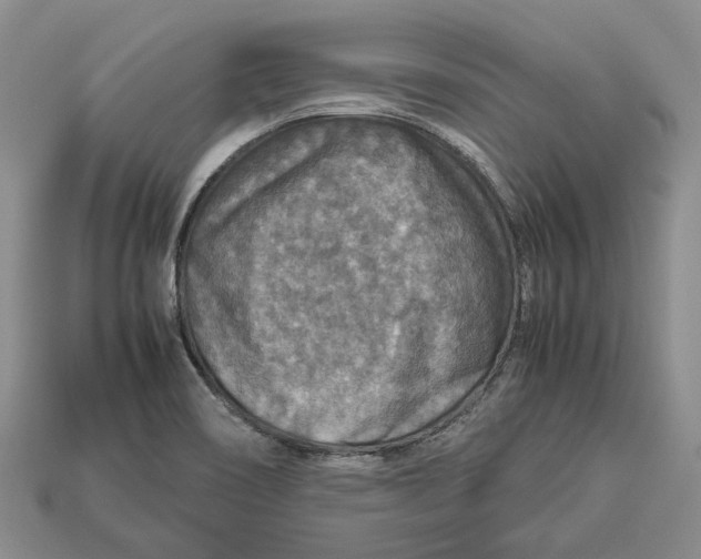 X0000112951466200909211144