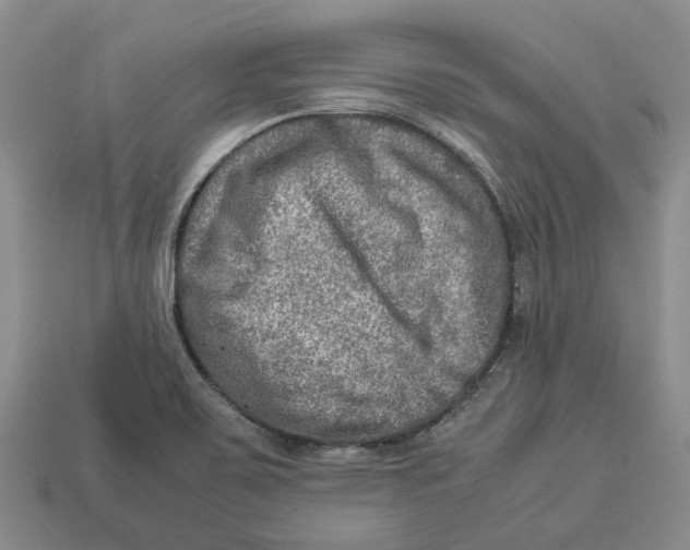 X0000112951467200909211144