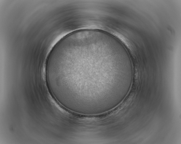 X0000112951468200909211144