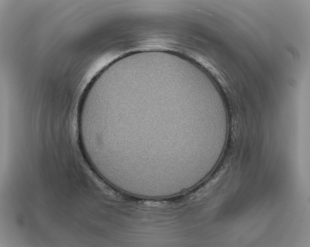 X0000112951469200909211144