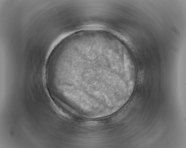 X0000112951470200909211144