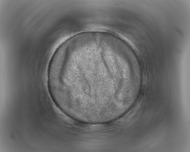 X0000112951471200909211144